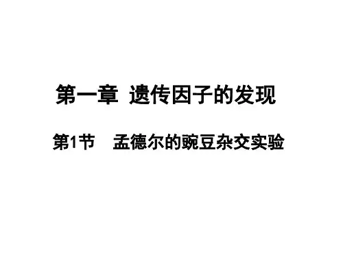 基因分离定律ppt