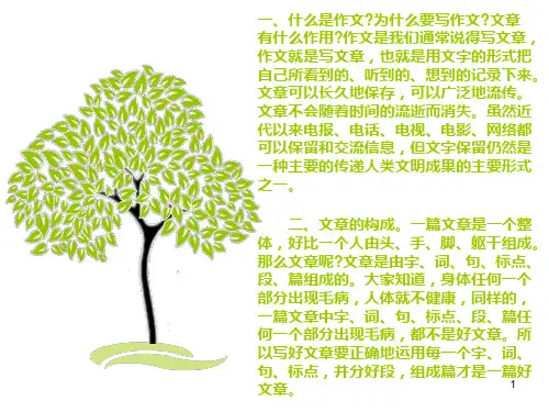 小学生作文指导PPT课件