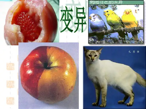 初中八年级(初二)生物 生物的变异(1)