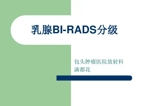 乳腺birads分级 ppt课件