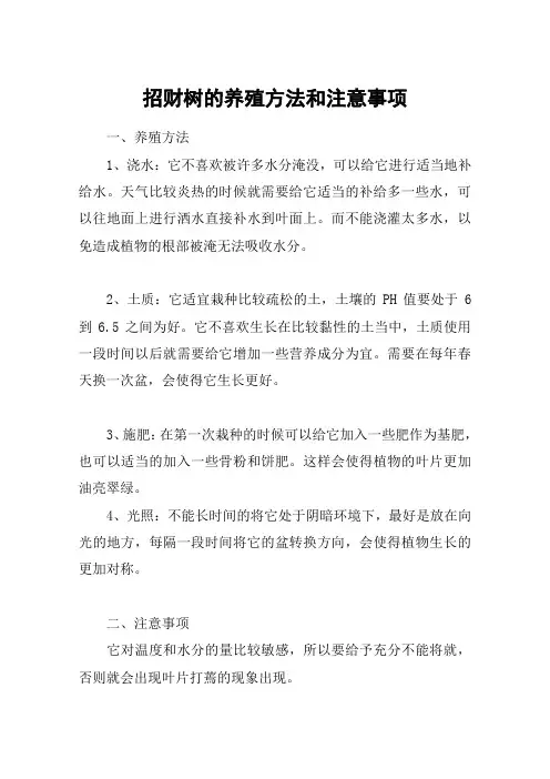 招财树的养殖方法和注意事项_1
