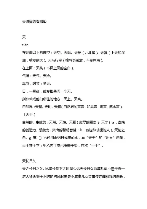 天组词语有哪些
