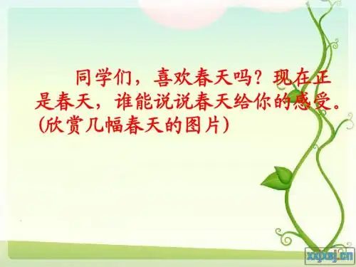 17触摸春天_PPT课件(三疑三探)