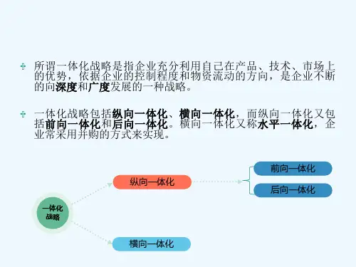 一体化战略解读 PPT