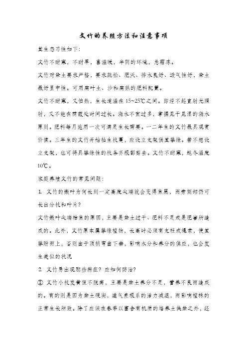 文竹的养殖方法和注意事项