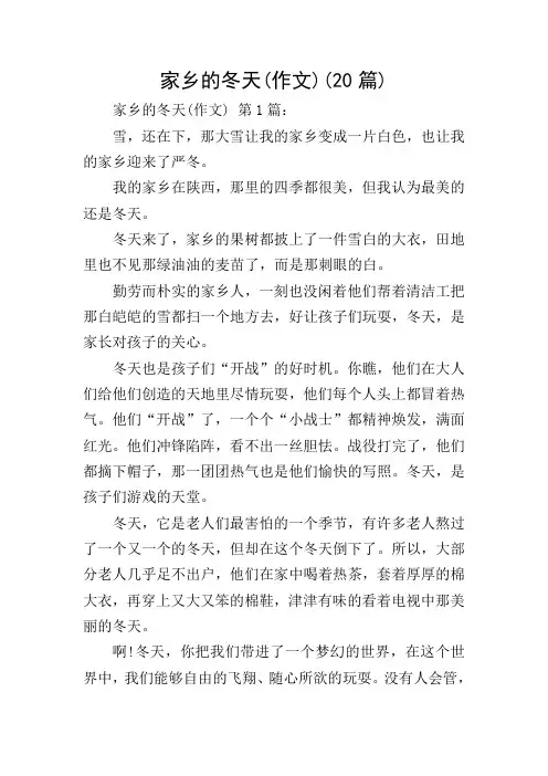家乡的冬天(作文)(20篇)