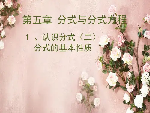 北师大版八年级下册5.1.2 认识分式(2)课件(共26张PPT)