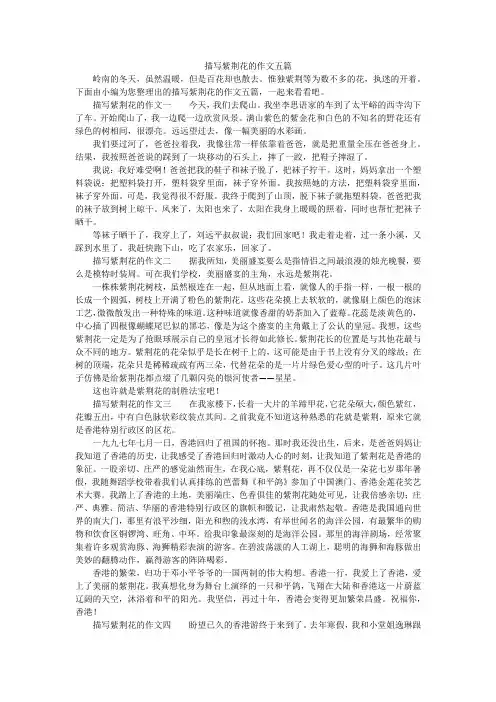 描写紫荆花的作文五篇