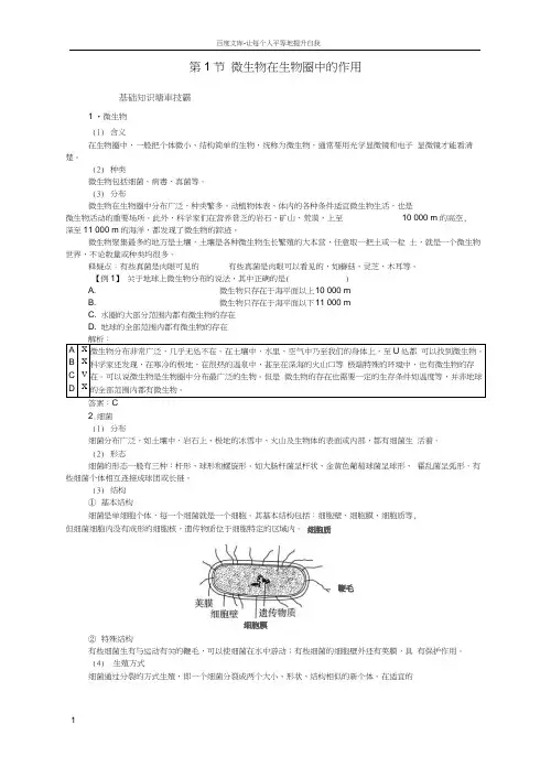 八年级生物上册第5单元第18章第1节微生物在生物圈中的作用能力突破北师大版