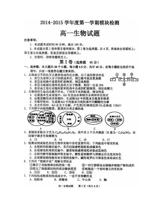 山东省烟台市2014-2015学年高一上学期期末考试生物试题 扫描版含答案