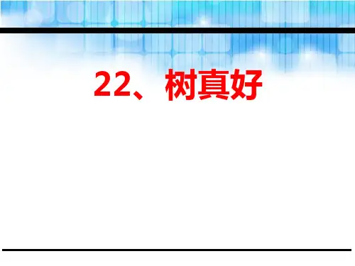 《树真好》PPT课件【优秀课件PPT】