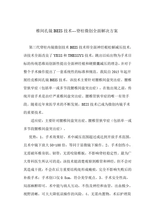 椎间孔镜BEIS技术