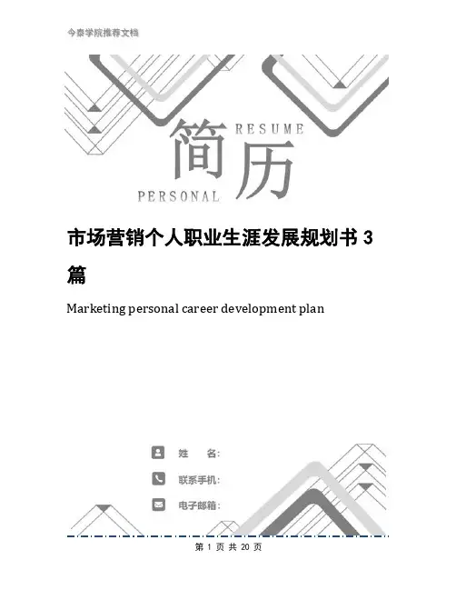 市场营销个人职业生涯发展规划书3篇