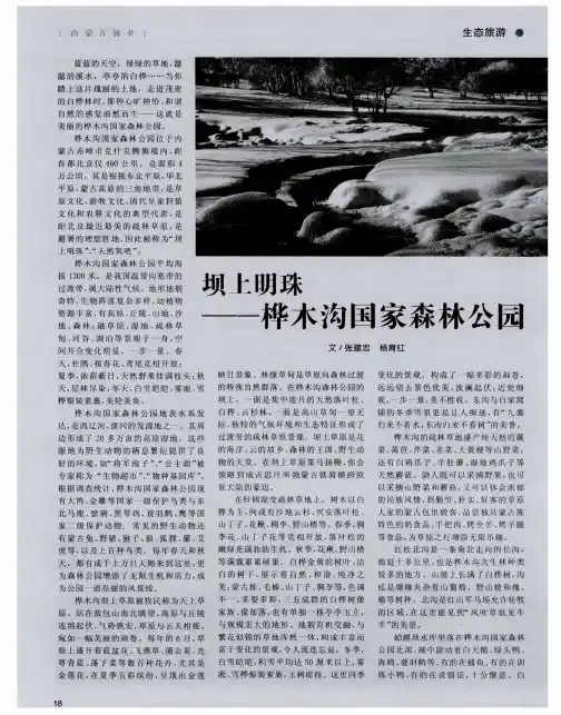 坝上明珠——桦木沟国家森林公园