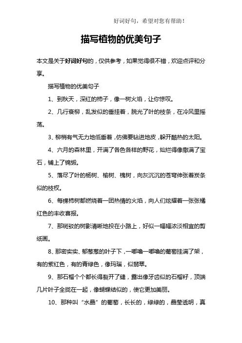 描写植物的优美句子