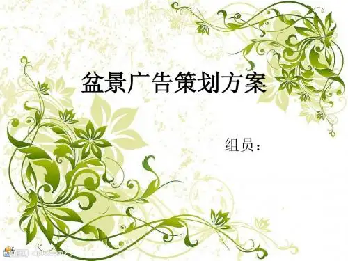 盆景广告策划方案