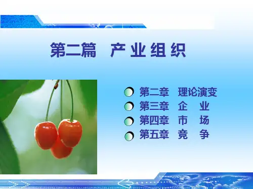 产业组织理论演变讲义
