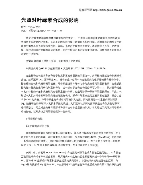 光照对叶绿素合成的影响