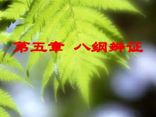 中医诊断学 - 第五章 八纲辨证【PPT课件】