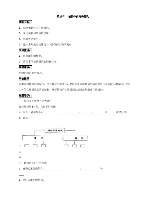 人教版七年级生物上册2.2.3植物体的结构层次学案