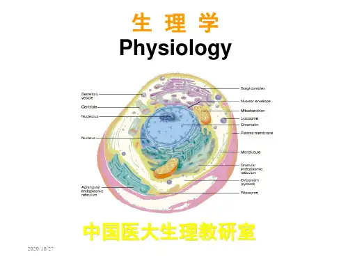 生理学课件第一章绪论