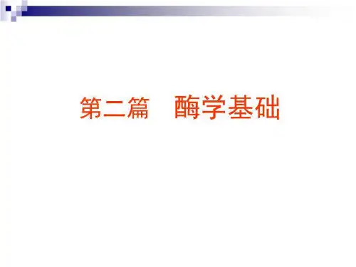 食品酶学-食品酶学基础(4) PPT课件
