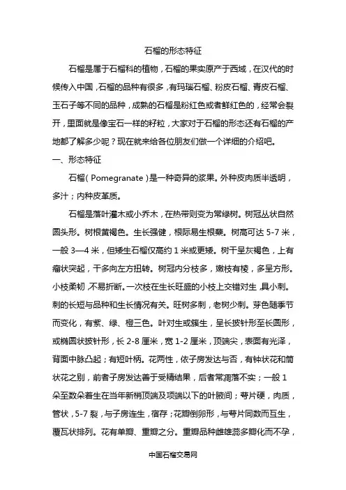 石榴的形态特征