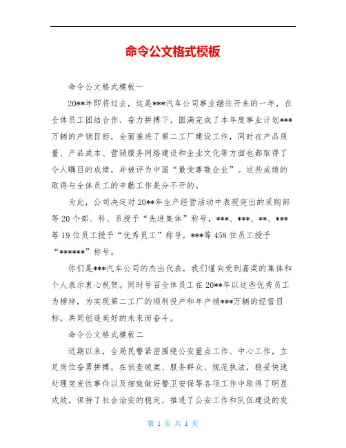 命令公文格式模板