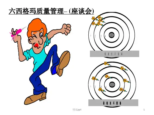 《西格玛方法座谈会》PPT课件