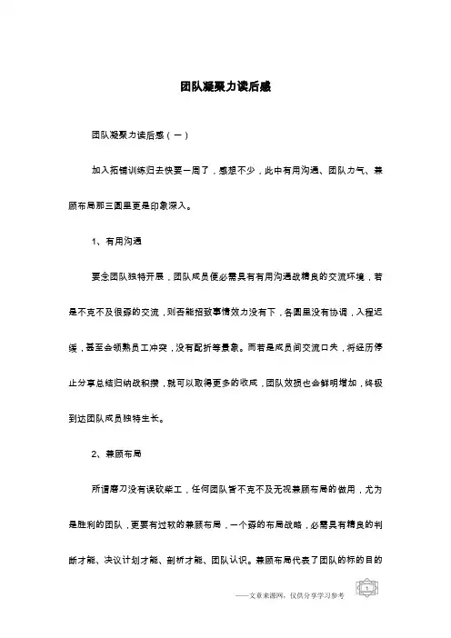 团队凝聚力读后感