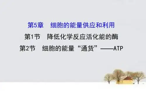 2016届高三生物第一轮复习第5章第1-2节降低化学反应活化能的酶细胞的能量“通货”-ATP课件