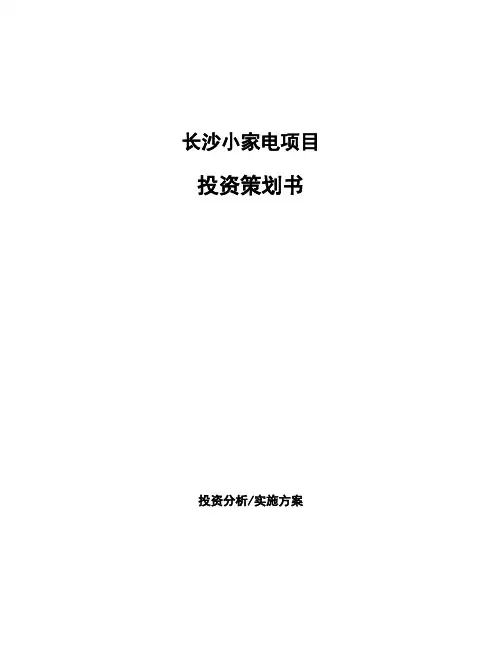长沙小家电项目投资策划书