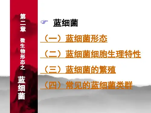 第二章 微生物形态-蓝细菌(4-2).