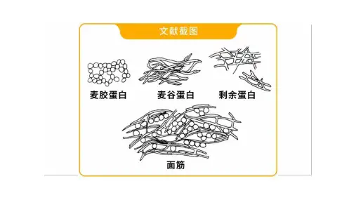 西餐制作谷物类原料
