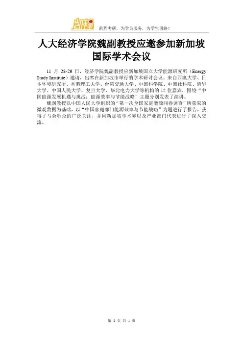 人大经济学院魏副教授应邀参加新加坡国际学术会议