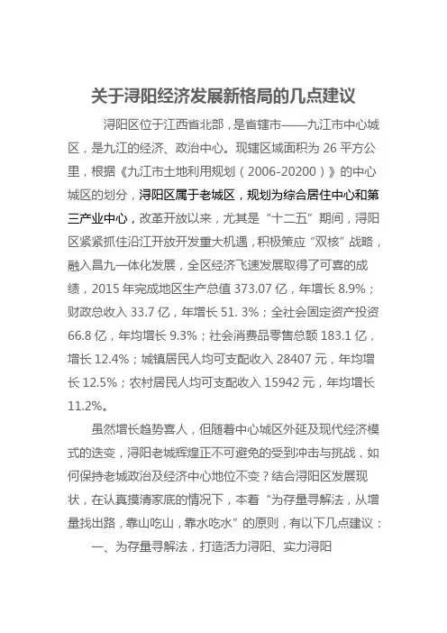 关于浔阳区经济发展新格局的几点建议1.7