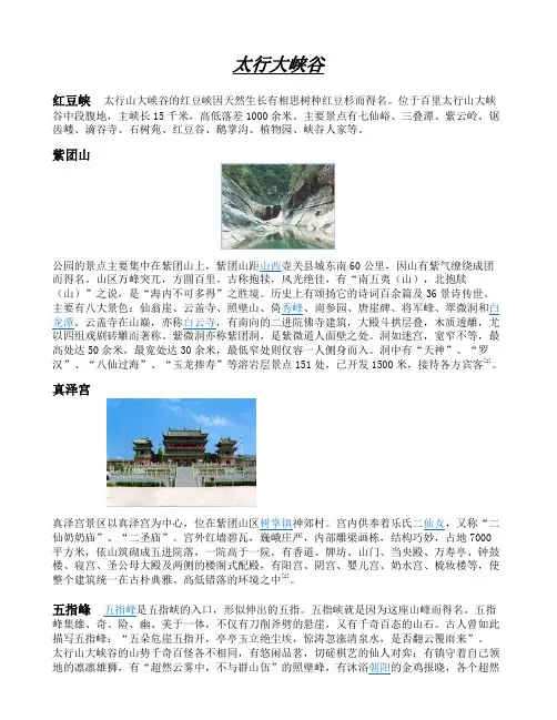 太行大峡谷红豆峡太行山大峡谷的红豆峡因天然生长有相思树种红豆杉