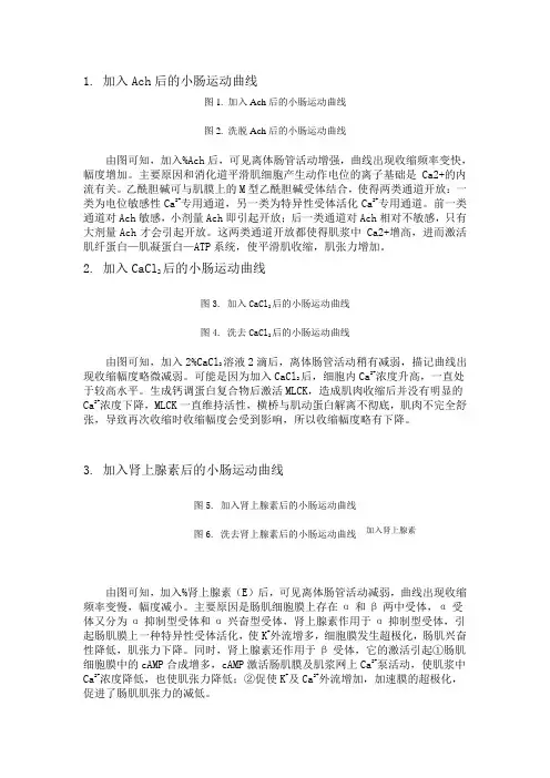 生理学实验：离体小肠平滑肌生理特性的观察