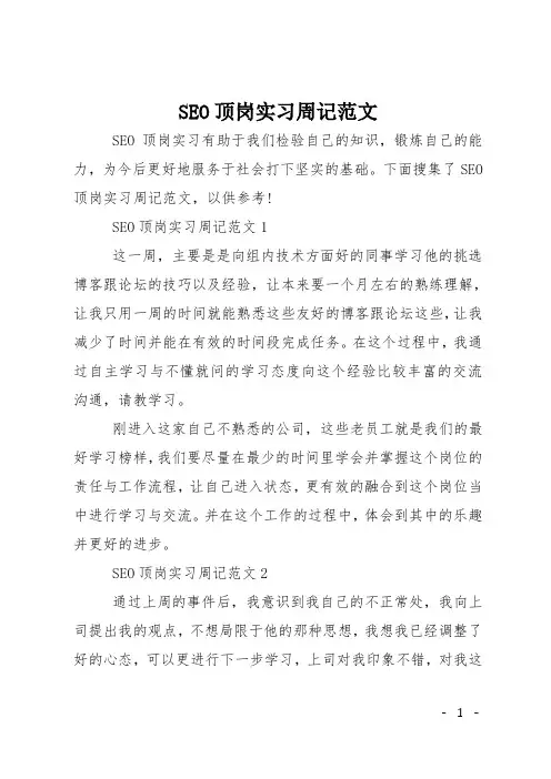 SEO顶岗实习周记