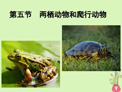 陕西省石泉县八年级生物上册5.1.5两栖动物和爬行动物课件(新版)新人教版