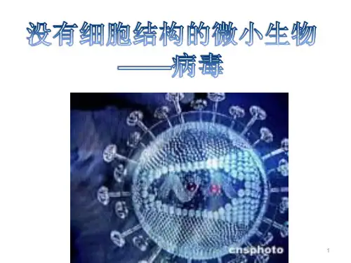 人教版八年级生物上册教学课件 第五单元第五章 病毒