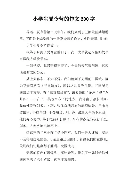 小学生夏令营的作文300字