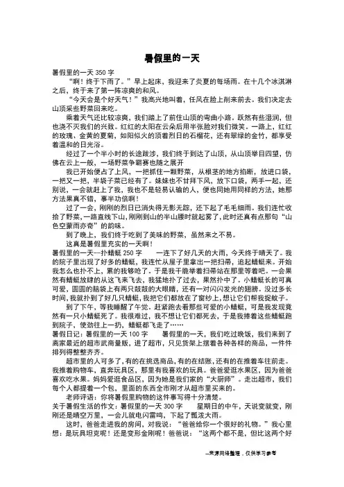 暑假里的一天_四年级作文