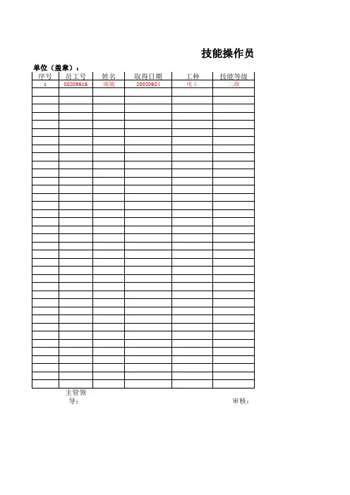 2014年职业技能信息12月统计-样表(1)