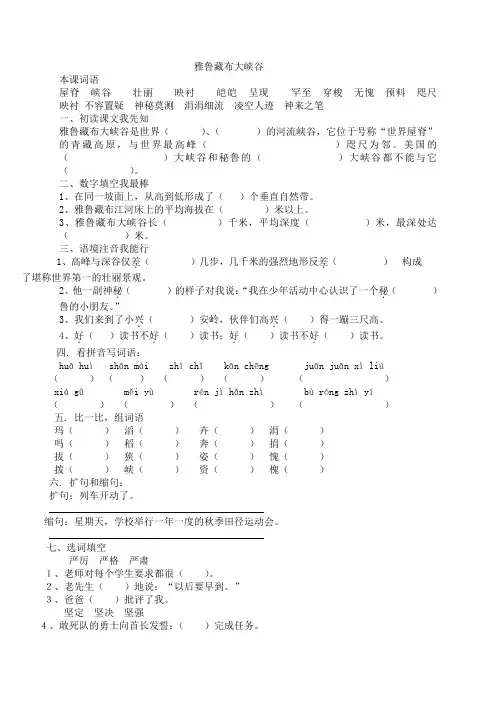 人教版四年级上册第二课雅鲁藏布大峡谷练习题