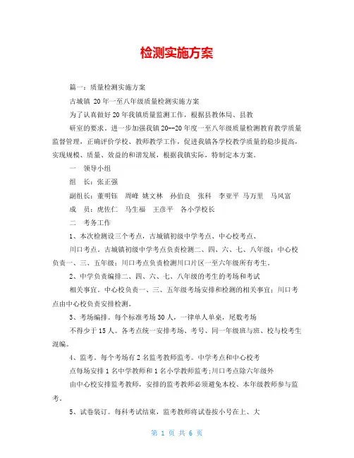 检测实施方案