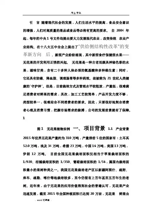 无花果项目商业实施计划书