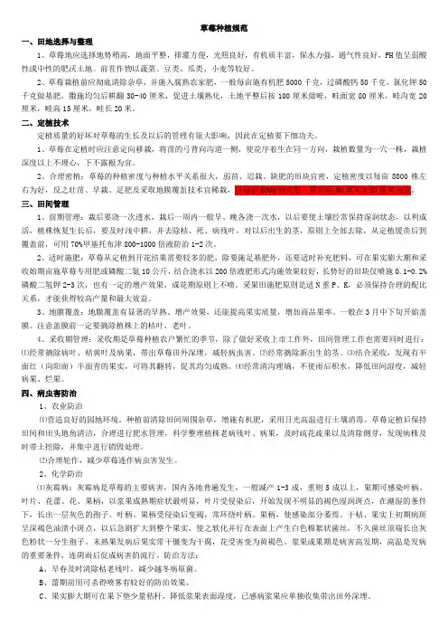 草莓栽培技术要点