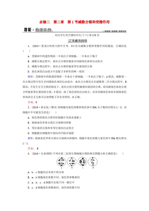 创新教程(新课标)2016年高考生物大一轮复习第二章第1节减数分裂和受精作用课时冲关新人教版必修2