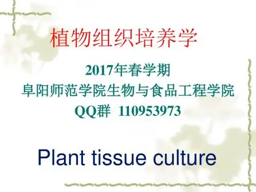 4 植物器官培养